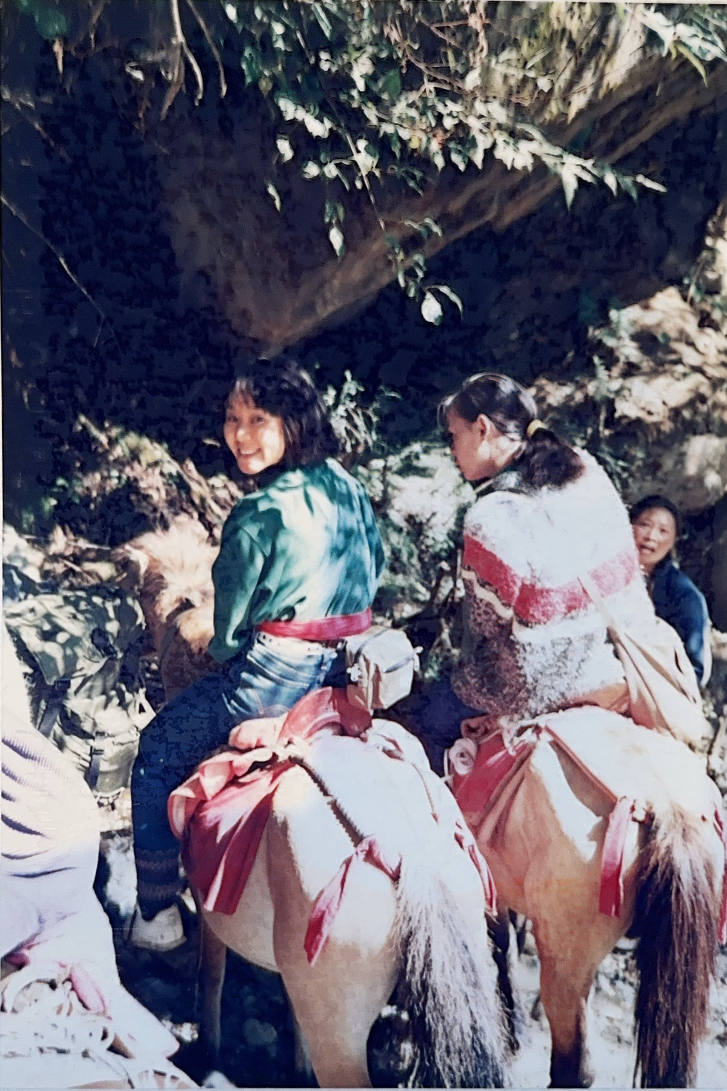 絲綢之路旅行照片 - 馬夫